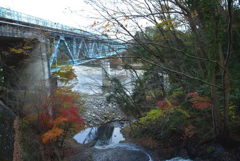 茂木町　大瀬橋の紅葉