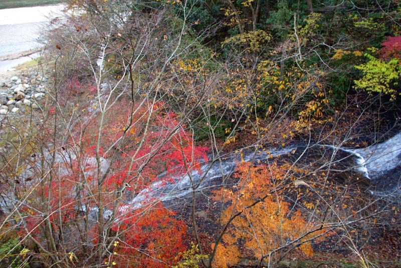 鎌倉山のすそ