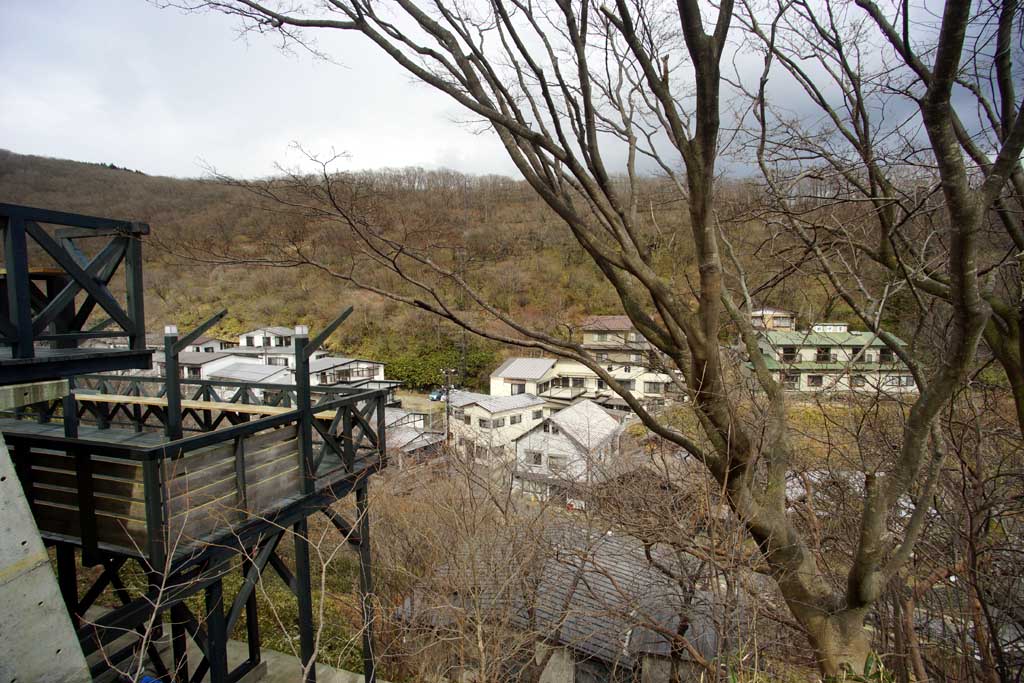 ���̓��@�Q�O�Q�T