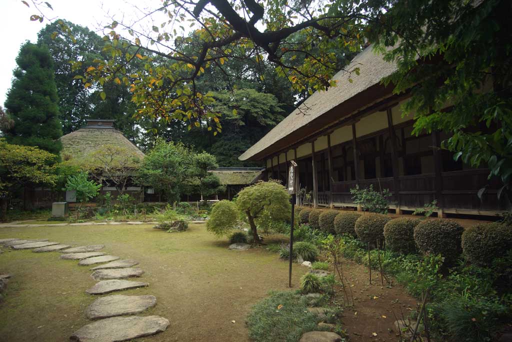 黒羽山 大雄寺
