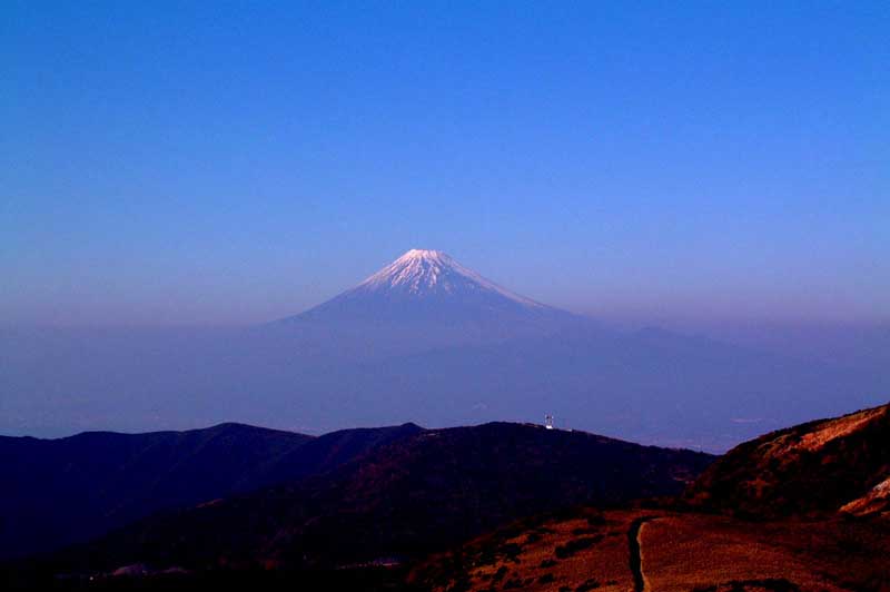 達磨山からの富士山