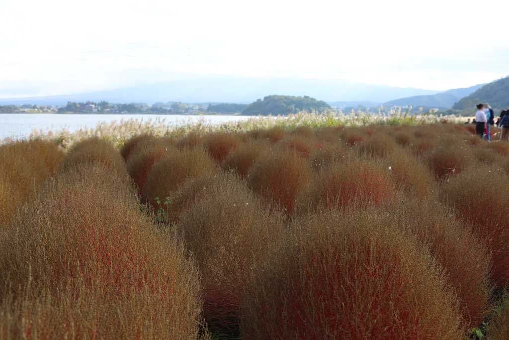 初秋の大石公園