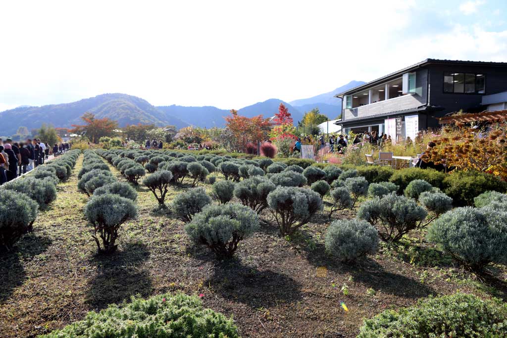初秋の大石公園