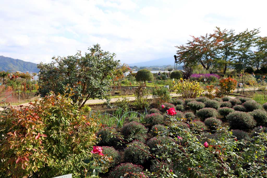 初秋の大石公園