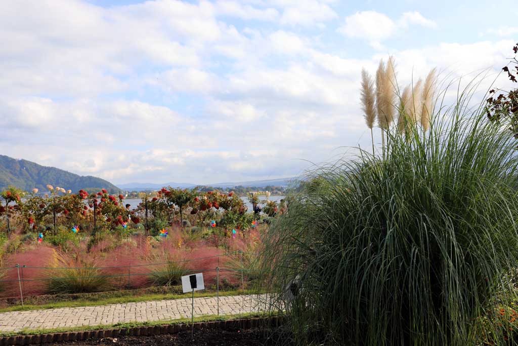 初秋の大石公園