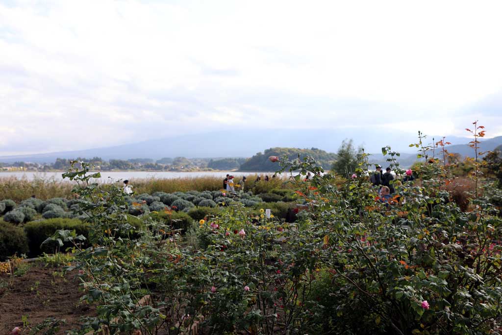 初秋の大石公園