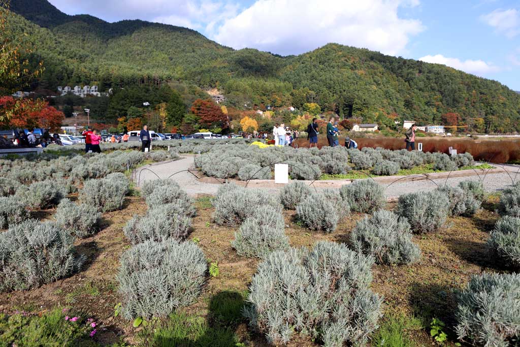 初秋の大石公園