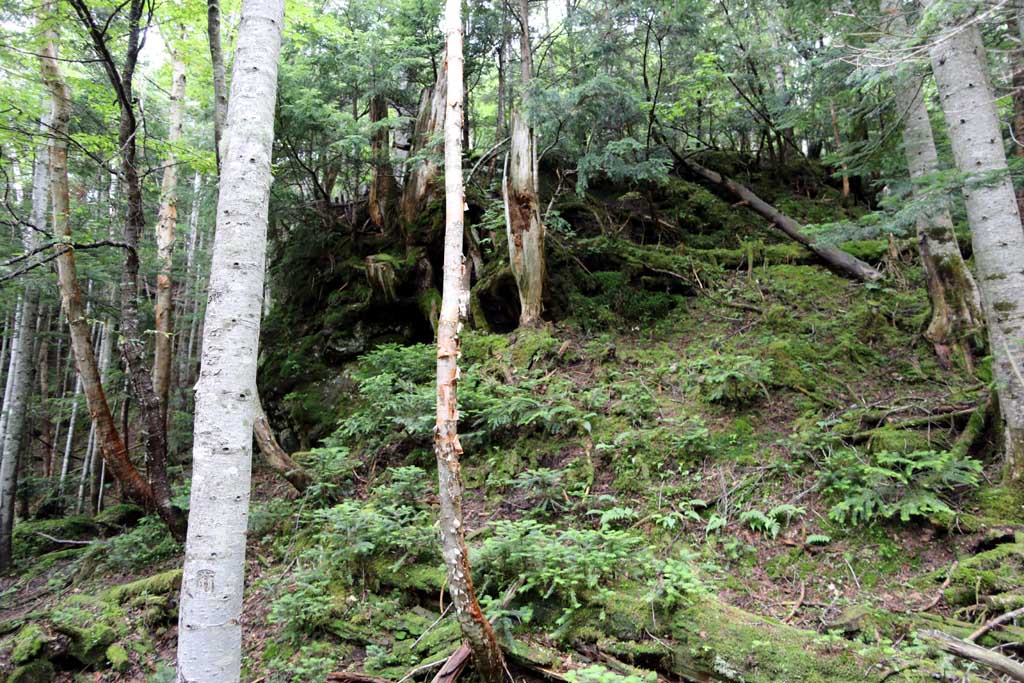 日光白根山ロープウェイ