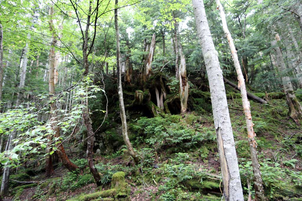 日光白根山ロープウェイ