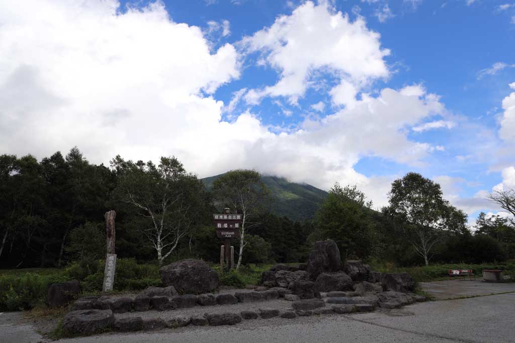 日光戦場ヶ原2025