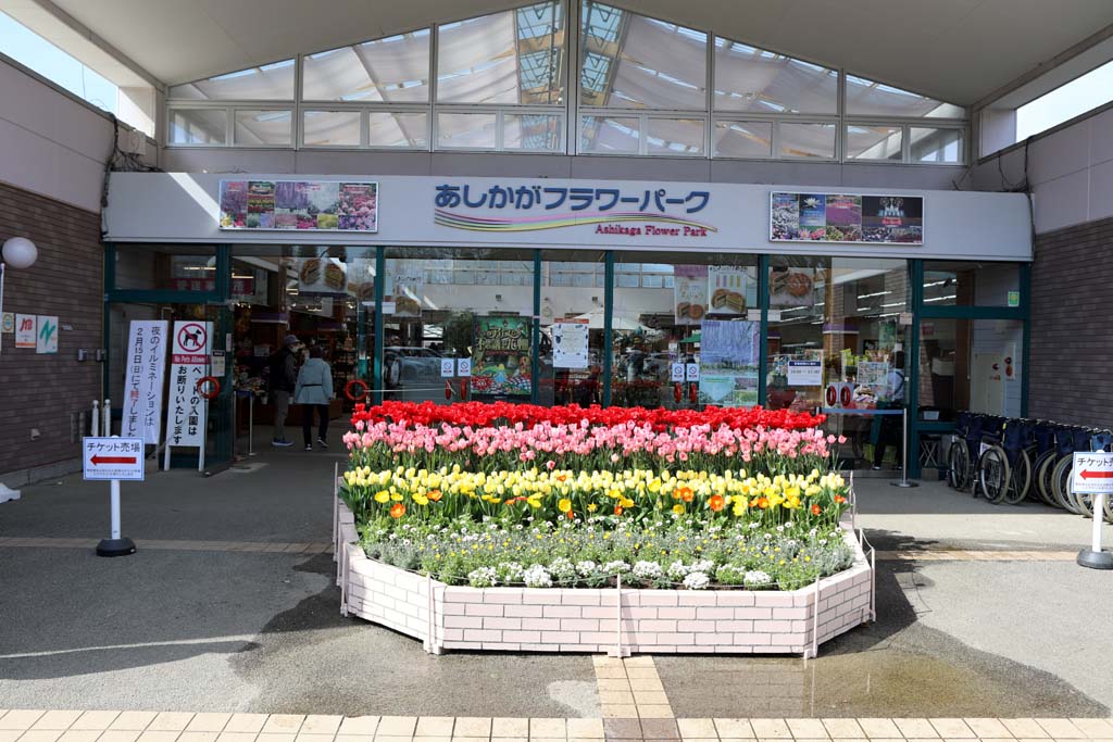 足利フラワーパーク 2026早春
