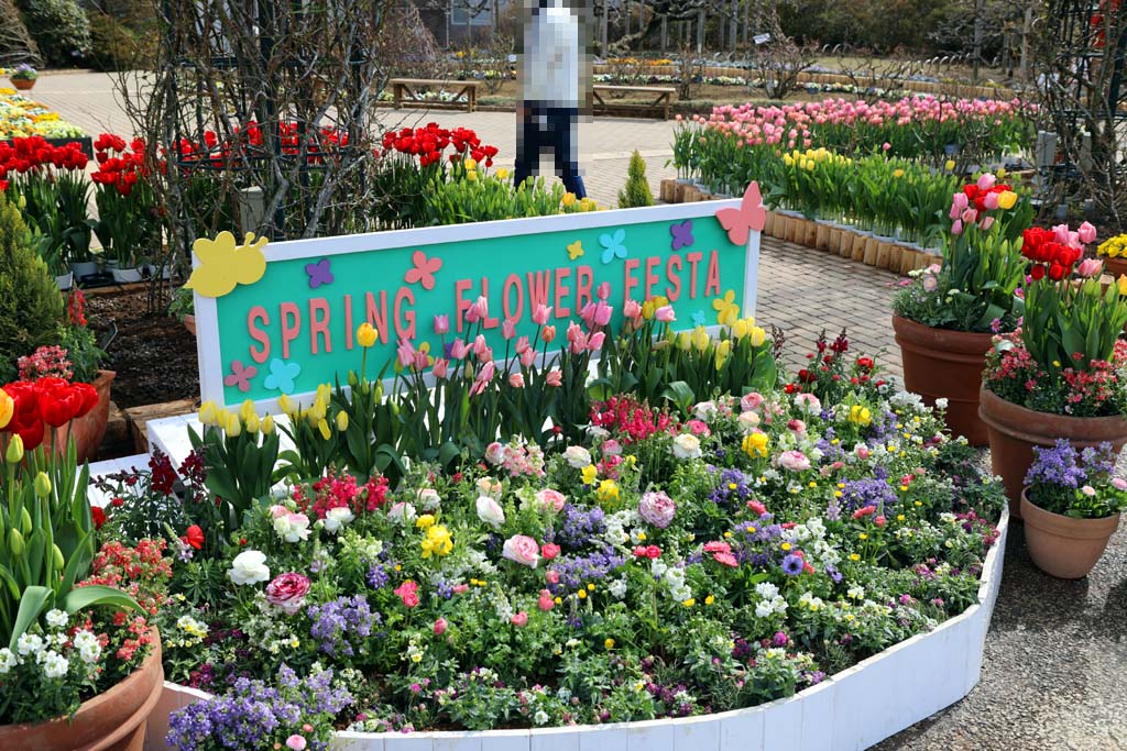 足利フラワーパーク 2026早春