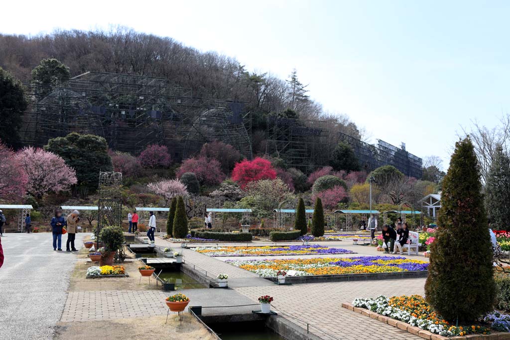 足利フラワーパーク 2026早春