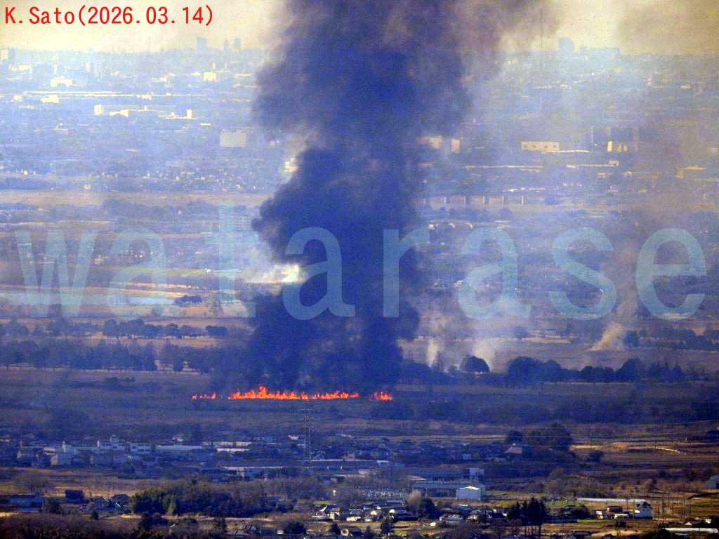 �n�ǐ��V���n�@���V�Ă��Q�O�Q�U