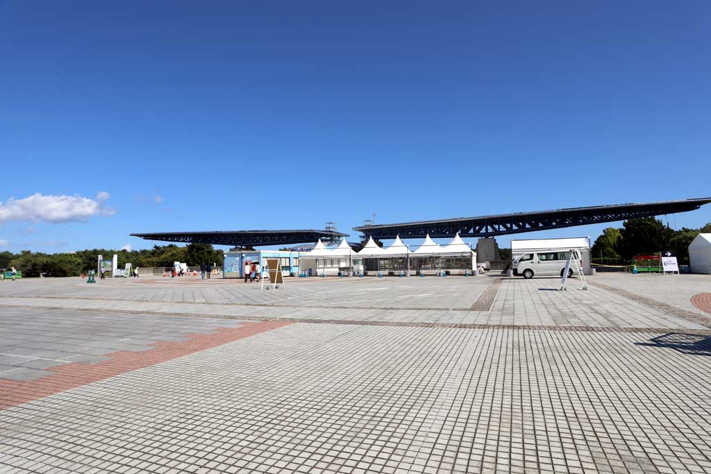 国営ひたち海浜公園、コキアの頃 2025