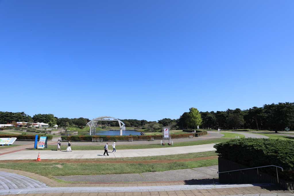 国営ひたち海浜公園、コキアの頃 2025