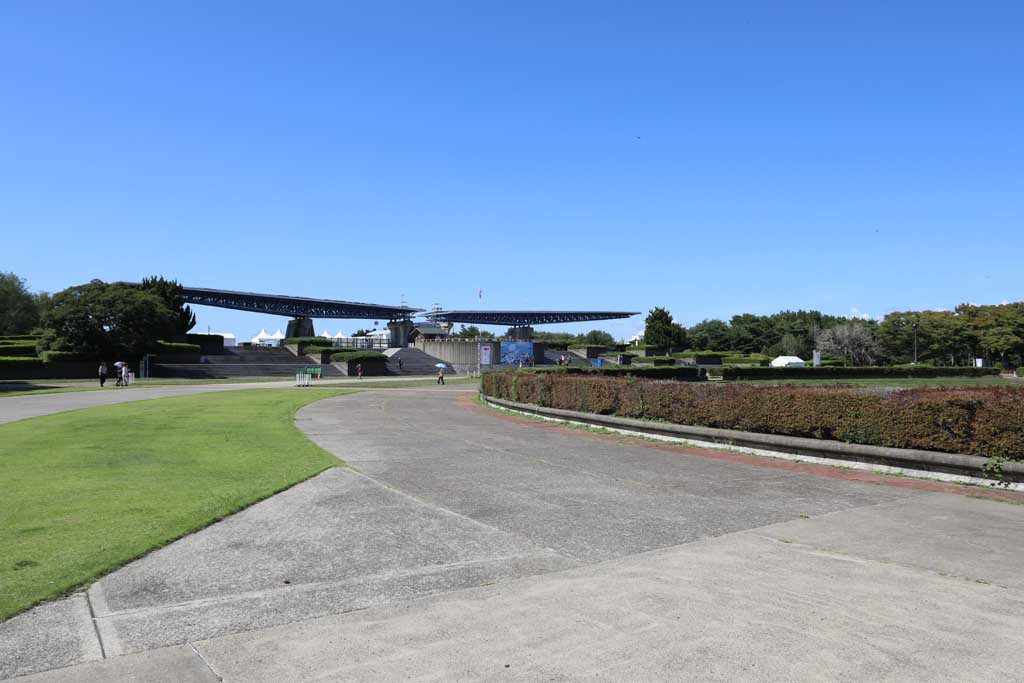 国営ひたち海浜公園、コキアの頃 2025