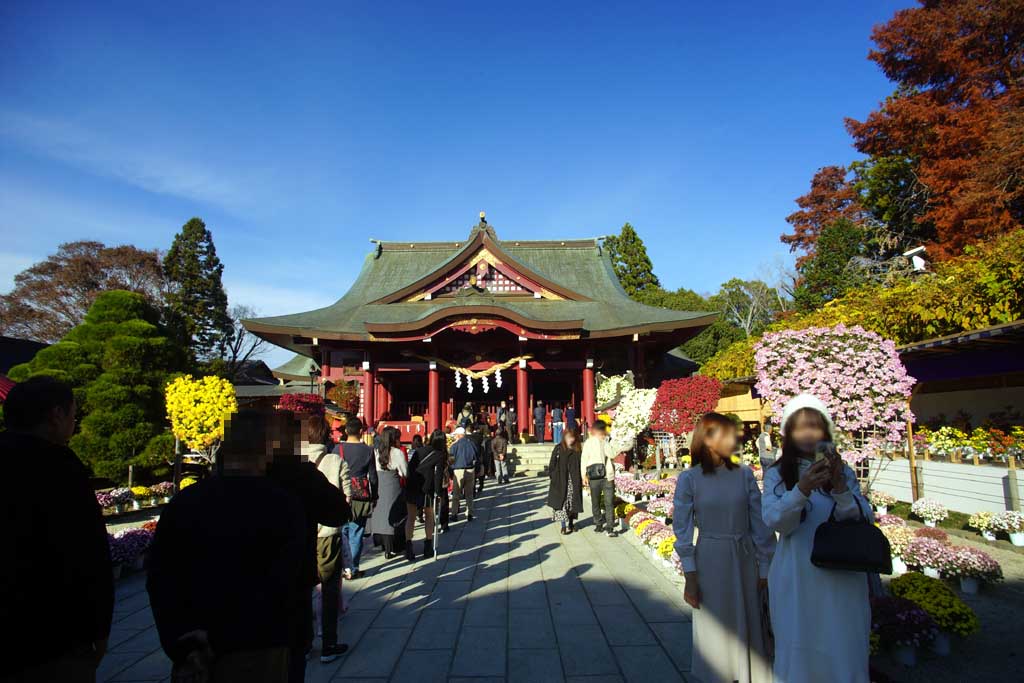笠間稲荷神社 2025