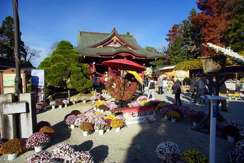 笠間稲荷神社 2025