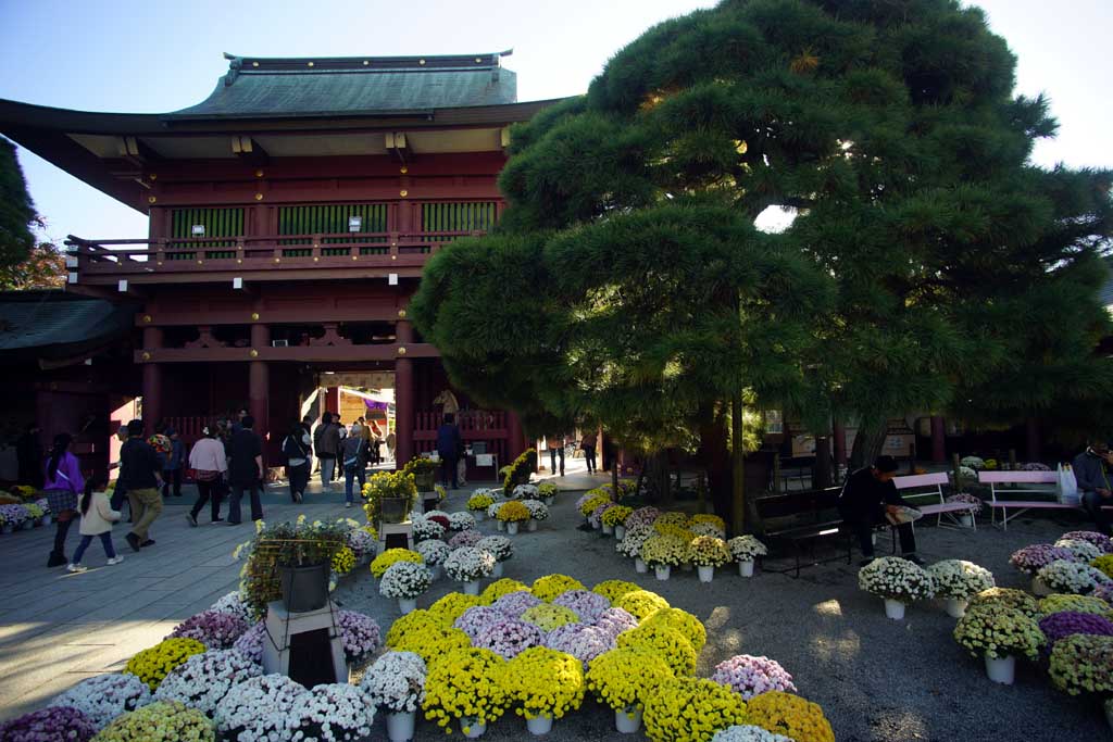 笠間稲荷神社 2025