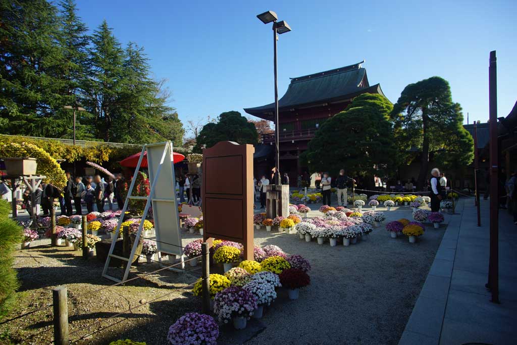 笠間稲荷神社 2025