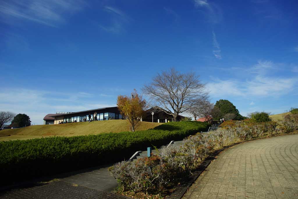 笠間工芸の丘 晩秋