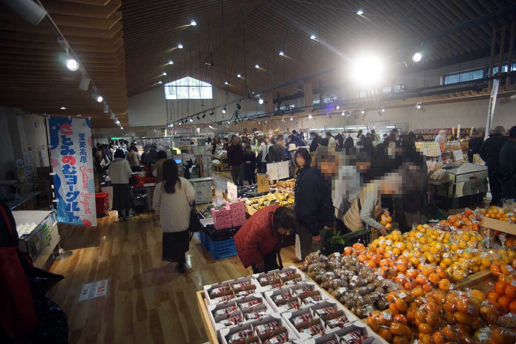 道の駅 笠間 2025秋